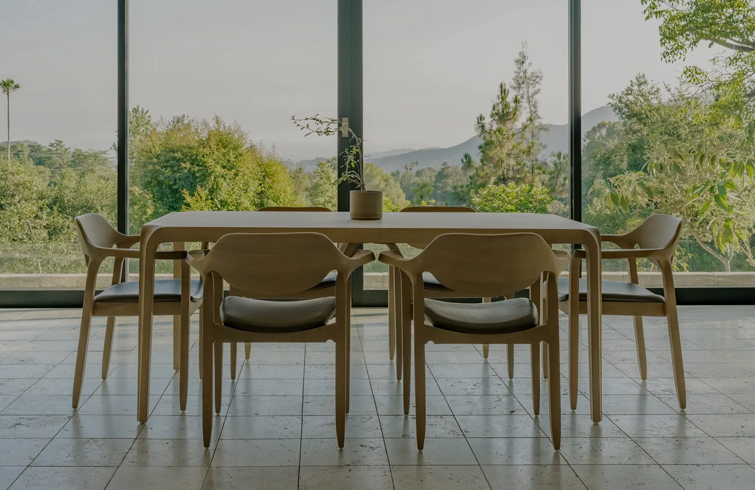 Svelte Collection